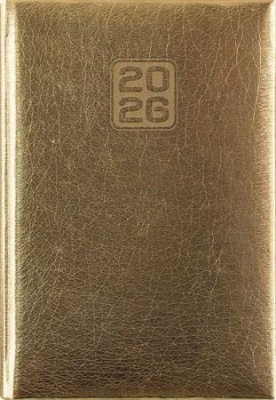 Naptár, tervező, A5, napi, DAYLINER, "Mirror", arany